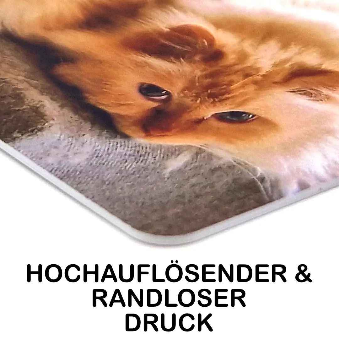 Detailaufnahme der abgerundeten Ecke einer bedruckten Plastikkarte mit der Aufschrift „HOCHAUFLÖSENDER & RANDLOSER DRUCK“. Das Katzenfoto ist präzise bis an den äußersten Rand der Karte gedruckt.