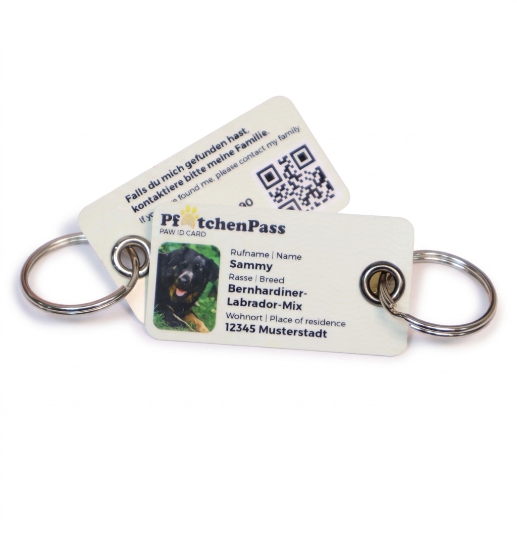 Zwei kleine weisse Ausweisanhänger für Haustiere mit metallverstärkten Ösen und Schlüsselringen auf weissem Grund. Ein Anhänger zeigt die Vorderseite mit Beispielfoto und Tierdaten, der andere die Rückseite mit QR-Code.