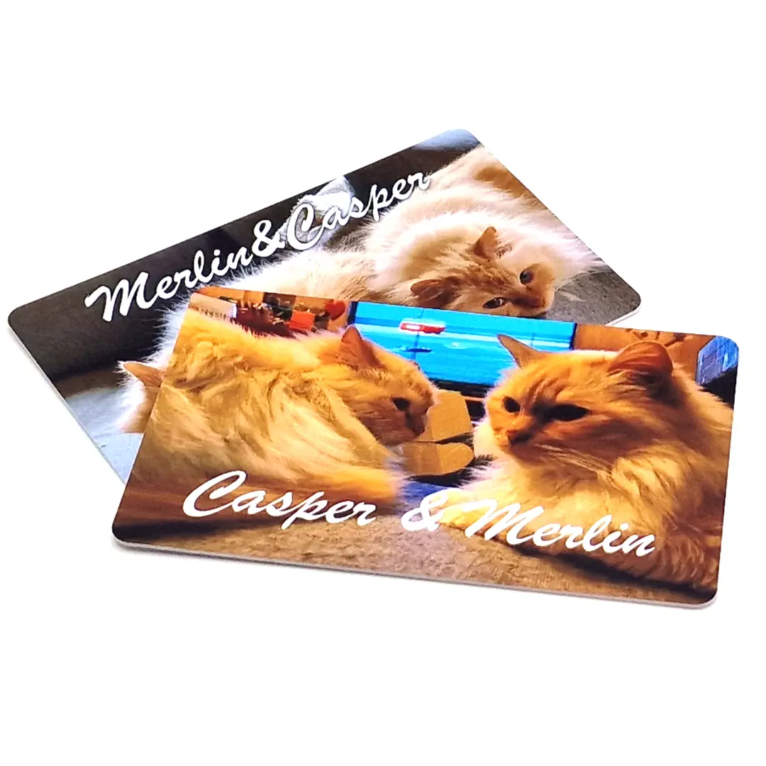 Zwei leicht versetzt übereinanderliegende PVC-Plastikkarten auf weißem Hintergrund im Querformat. Sie sind vollflächig mit Fotos zwei langhaariger Katzen und den geschwungenen Namen „Casper & Merlin“ bzw. „Merlin & Casper“ bedruckt.