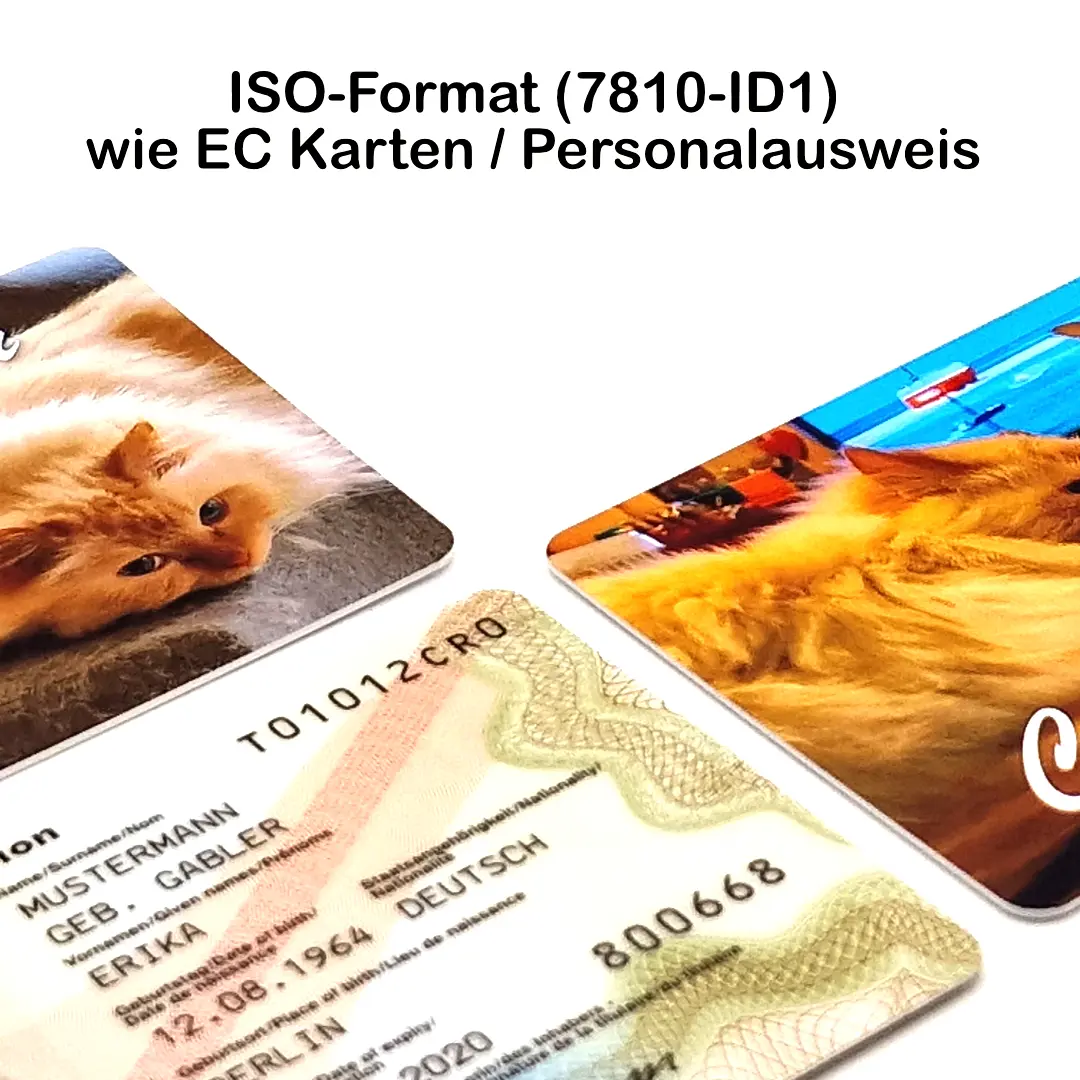 Produktfoto mit dem Hinweis „ISO-Format (7810-ID1) wie EC Karten / Personalausweis“. Gezeigt werden bedruckte Kunststoffkarten mit Motiven einer langhaarigen Katze im Vergleich zu einem Personalausweis im Standard-Scheckkartenformat.