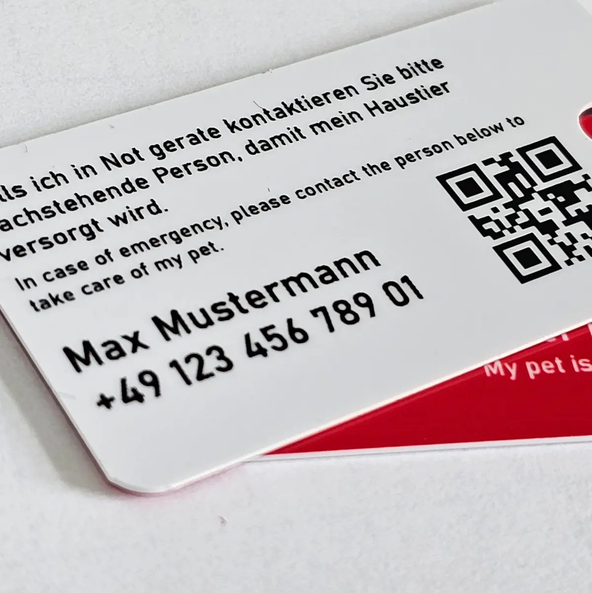 Nahaufnahme der weissen Rückseite einer Haustier-Notfallkarte mit zweisprachigem Hinweistext, Kontaktdaten von Max Mustermann und aufgedrucktem QR-Code. Darunter ist der Rand einer roten Karte zu sehen.